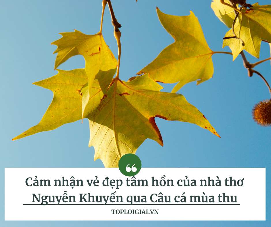 Cảm nhận vẻ đẹp tâm hồn của nhà thơ Nguyễn Khuyến qua Câu cá mùa thu