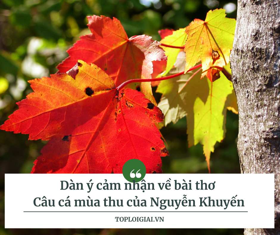 Dàn ý cảm nhận về bài thơ Câu cá mùa thu của Nguyễn Khuyến (ngắn gọn, hay nhất)