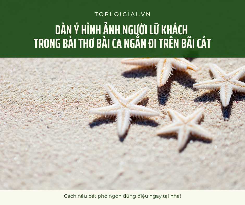 Lập dàn ý hình ảnh người lữ khách trong bài thơ Bài ca ngắn đi trên bãi cát (ngắn gọn, hay nhất) (ảnh 2)