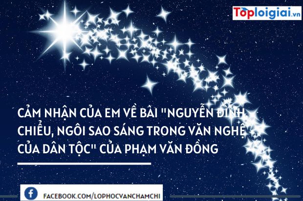 Phân tích tác phẩm Nguyễn Đình Chiểu, ngôi sao sáng trong văn nghệ của dân tộc của Phạm Văn Đồng | 900 bài Văn mẫu 12 hay nhất