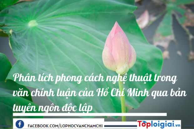 Phân tích phong cách nghệ thuật trong văn chính luận của Hồ Chí Minh qua Bản Tuyên Ngôn Độc Lập | 900 bài Văn mẫu 12 hay nhất (ảnh 2)