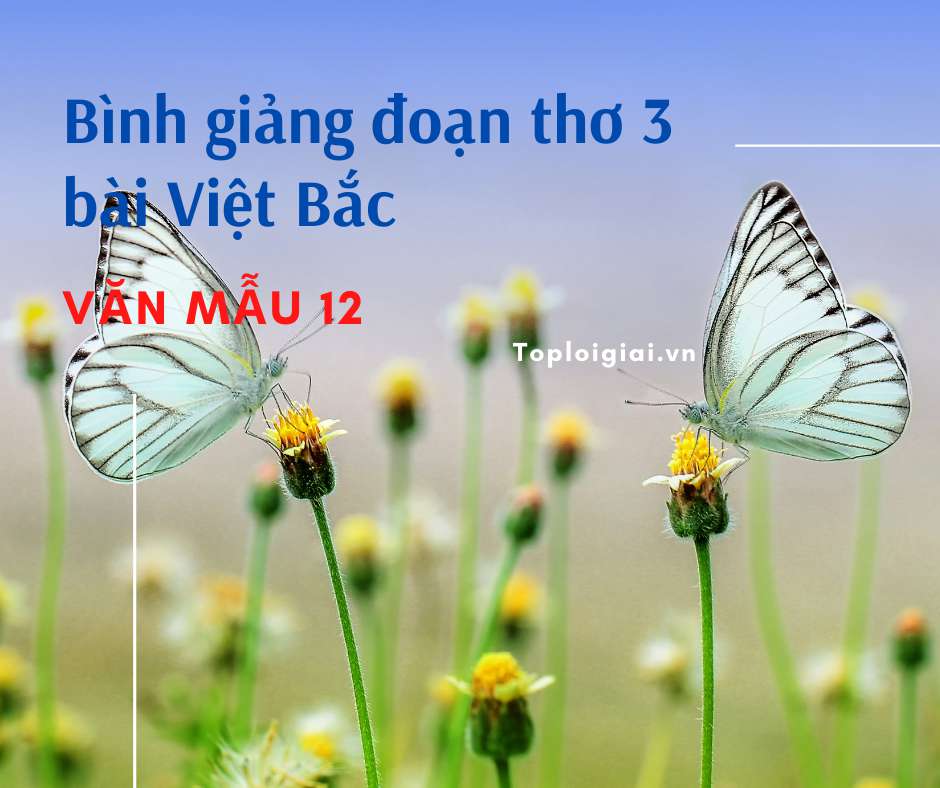 Bình giảng đoạn thơ 3 bài Việt Bắc (ảnh 2)