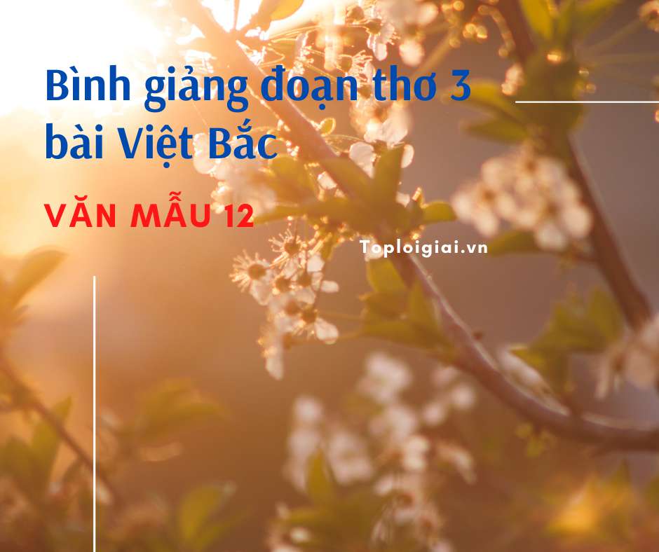 Bình giảng đoạn thơ 3 bài Việt Bắc (ảnh 3)