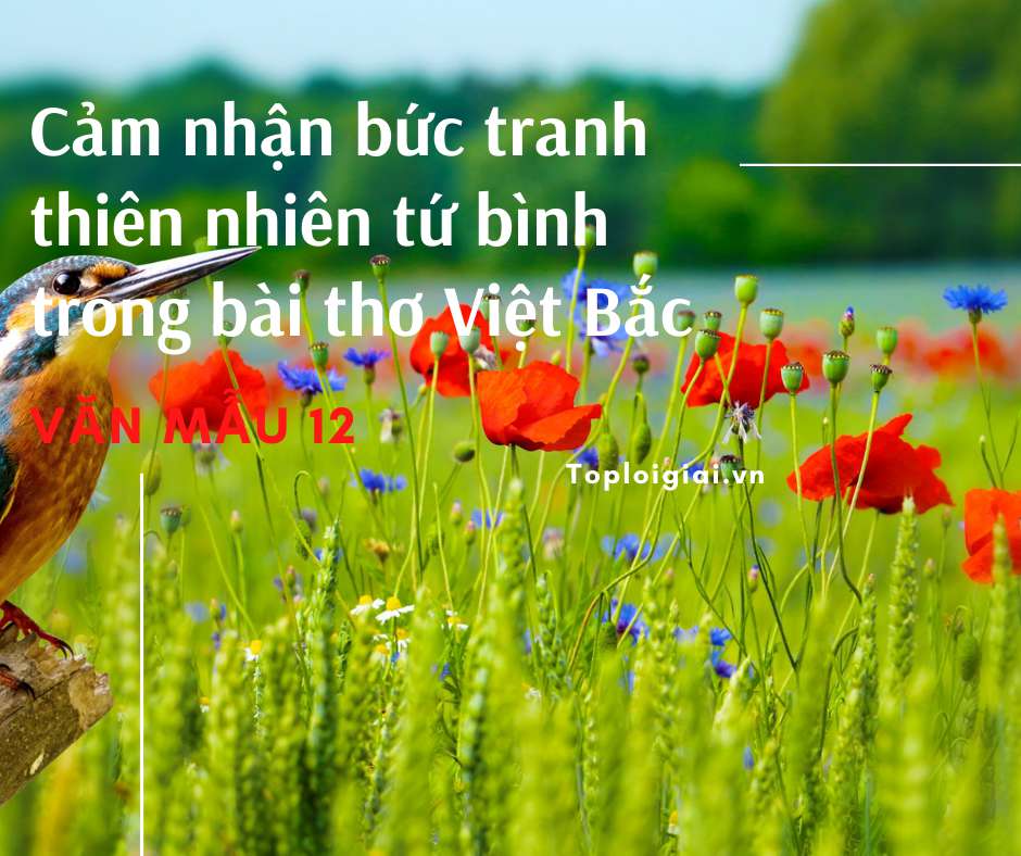 Cảm nhận bức tranh thiên nhiên tứ bình trong bài thơ Việt Bắc (ảnh 3)