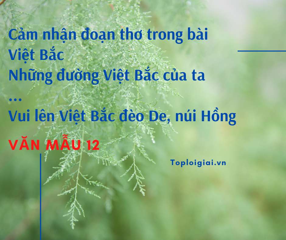 Cảm nhận đoạn thơ “ Những đường Việt Bắc của ta …. Vui lên Việt Bắc đèo De, núi Hồng” (ảnh 2)