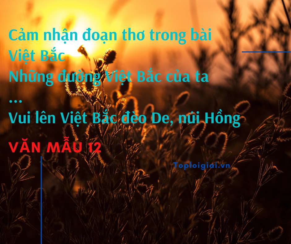 Cảm nhận đoạn thơ “ Những đường Việt Bắc của ta …. Vui lên Việt Bắc đèo De, núi Hồng” (ảnh 3)