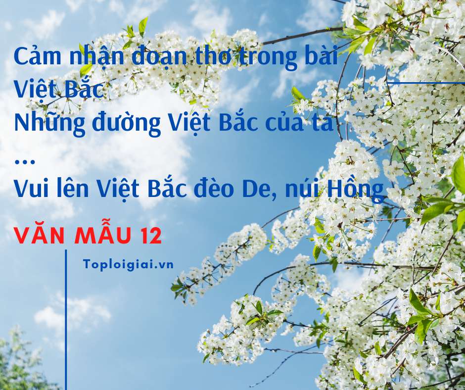 Cảm nhận đoạn thơ “ Những đường Việt Bắc của ta …. Vui lên Việt Bắc đèo De, núi Hồng” (ảnh 1)