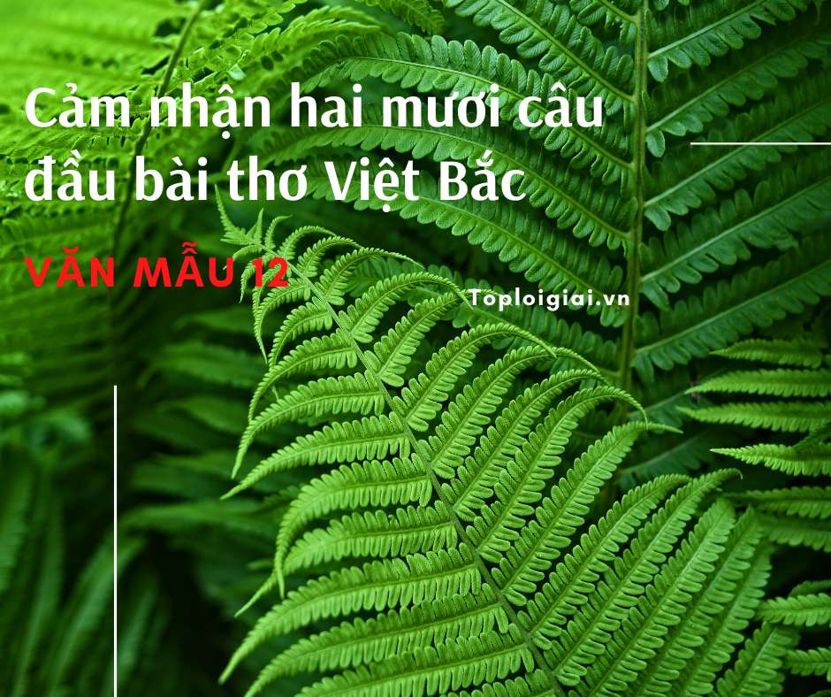 Cảm nhận hai mươi câu đầu bài thơ Việt Bắc