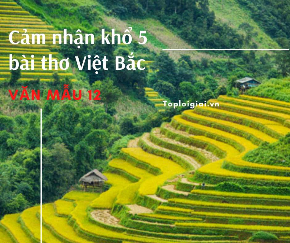 Cảm nhận khổ 5 bài thơ Việt Bắc (ảnh 2)