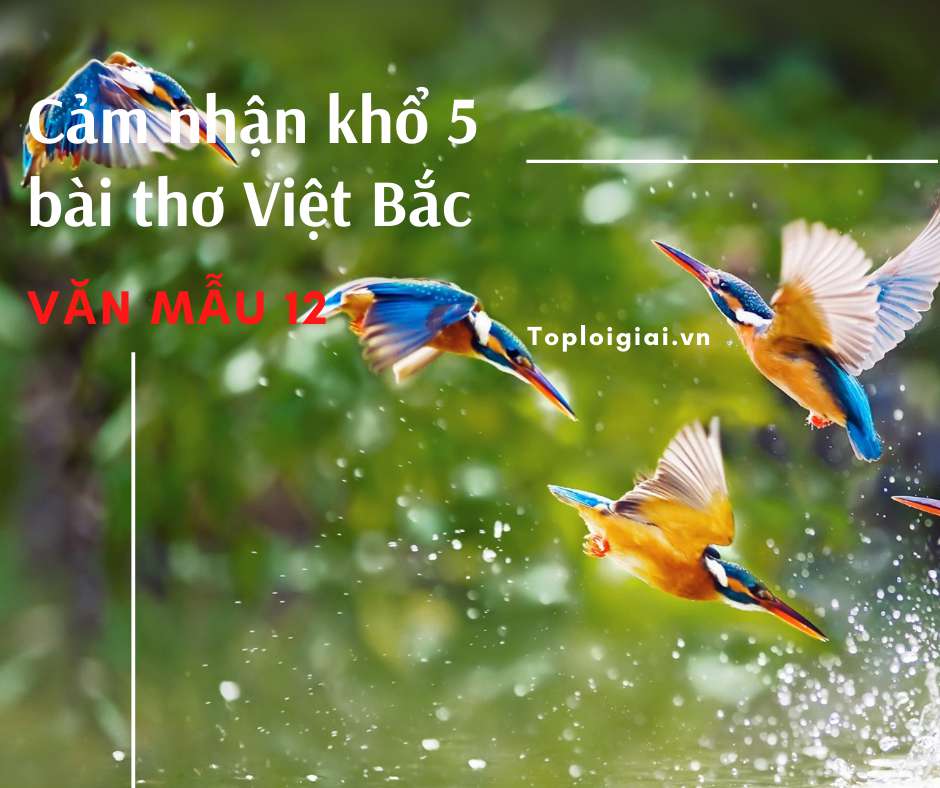 Cảm nhận khổ 5 bài thơ Việt Bắc ( ngắn gọn, hay nhất) – Toploigiai
