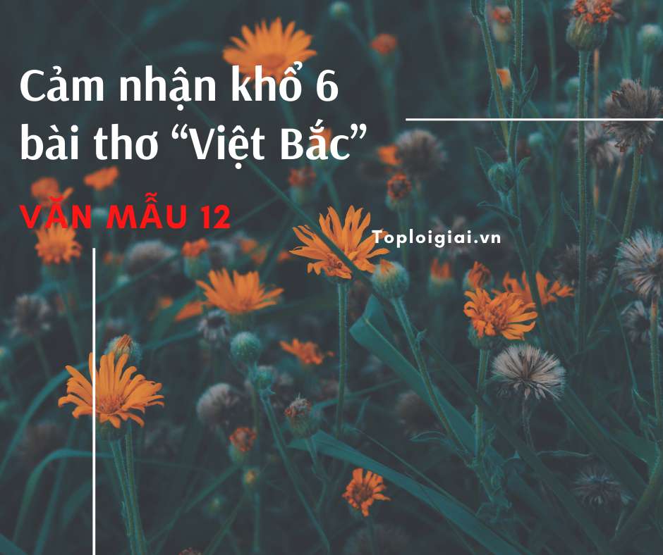 Cảm nhận khổ 6 bài thơ Việt Bắc (ảnh 2)