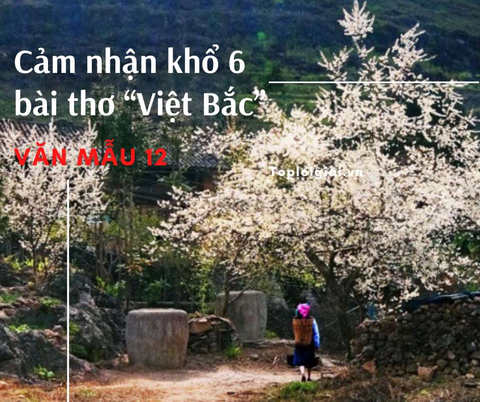 Cảm nhận khổ 6 bài thơ Việt Bắc (ảnh 1)