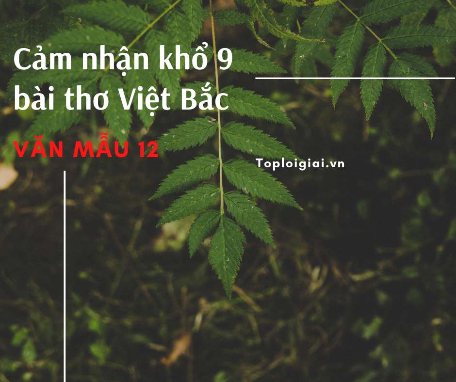 Cảm nhận khổ 9 bài thơ Việt Bắc (ảnh 2)