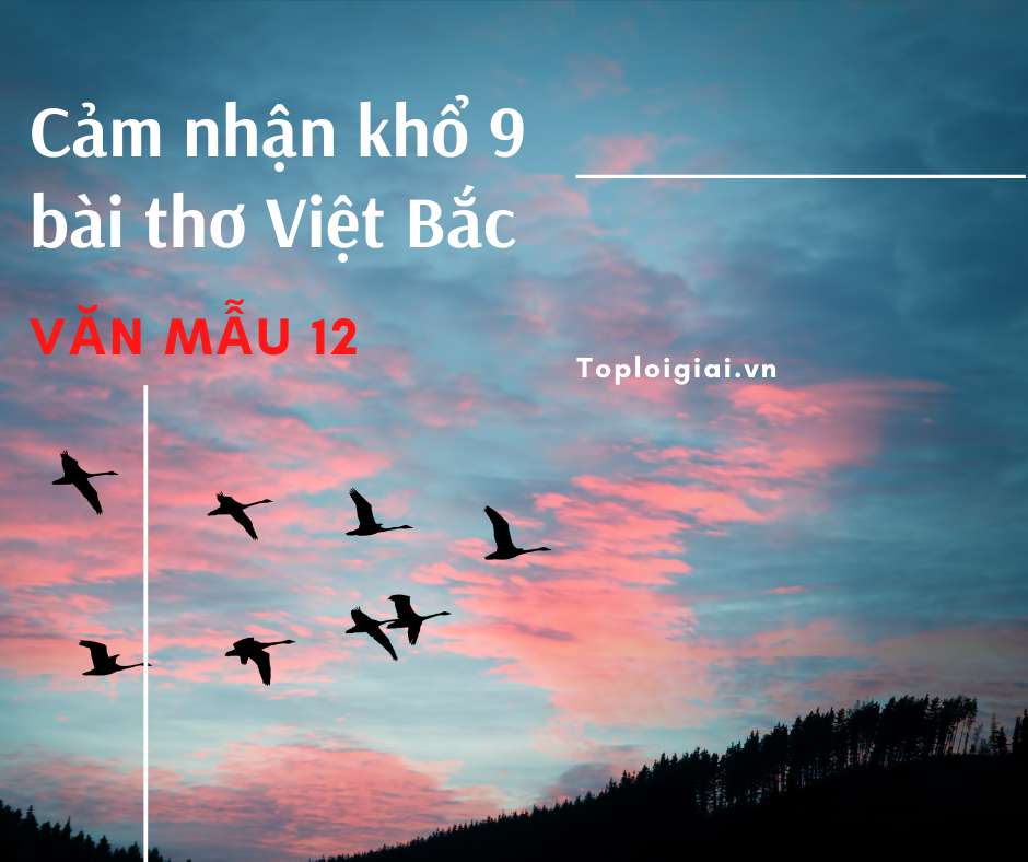 Cảm nhận khổ 9 bài thơ Việt Bắc (ngắn gọn, hay nhất)