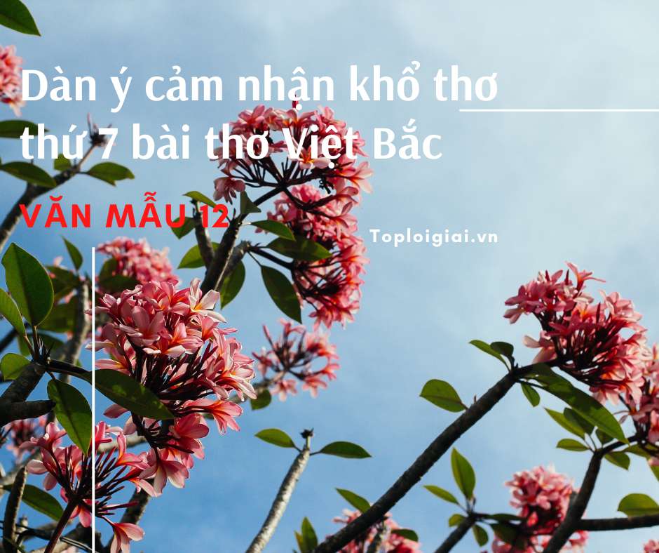 Cảm nhận khổ thơ thứ 7 bài thơ Việt Bắc (ảnh 1)