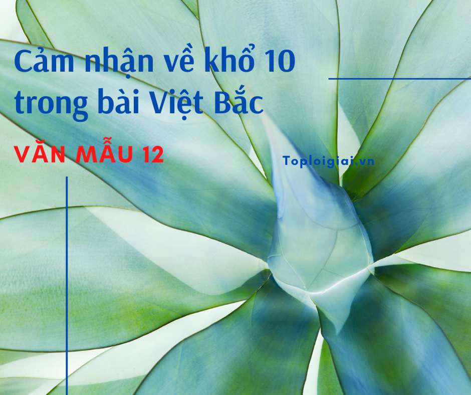 Cảm nhận về khổ 10 trong bài Việt Bắc (ảnh 1)