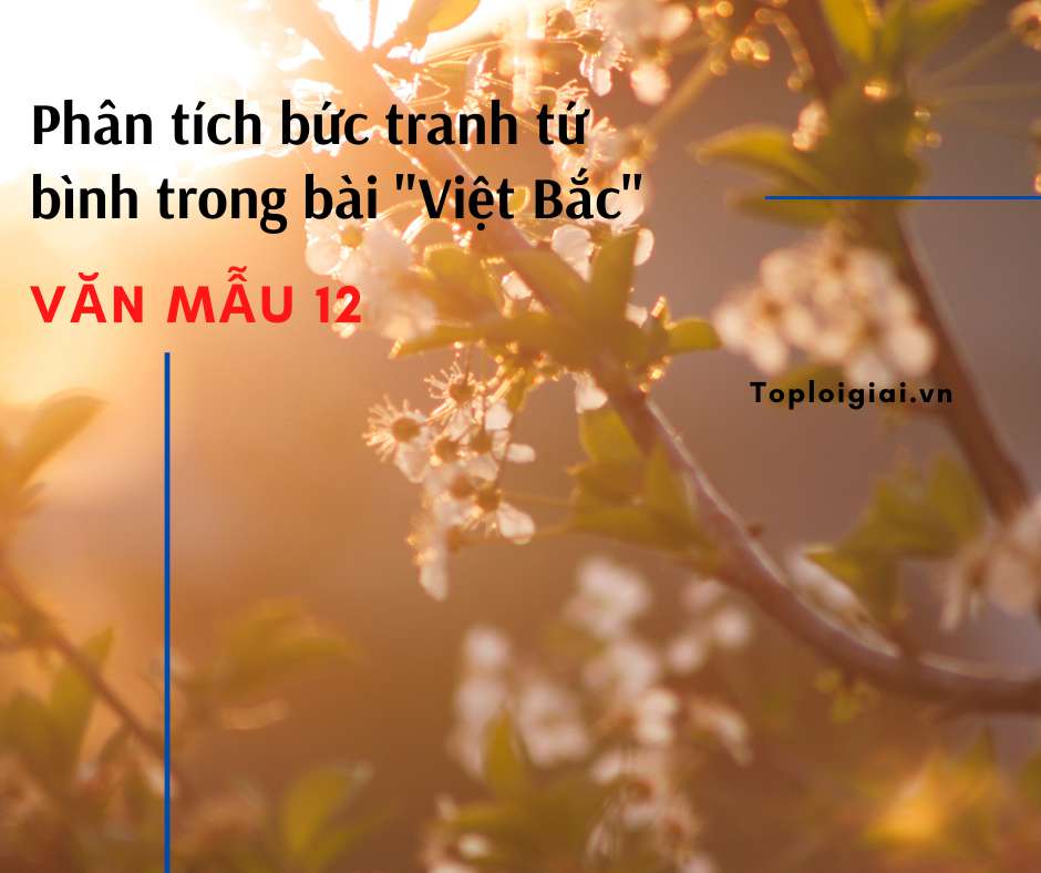 Phân tích bức tranh thiên nhiên tứ bình trong bài thơ Việt Bắc của Tố Hữu ( ảnh 2)
