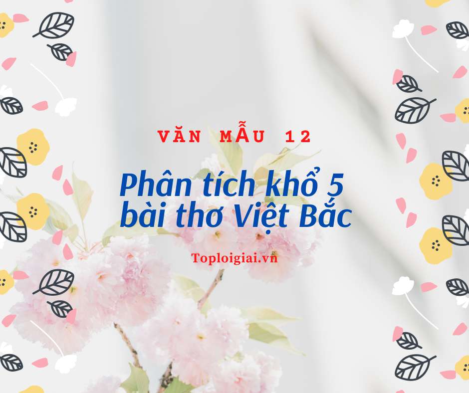 Phân tích khổ 5 bài thơ Việt Bắc (ngắn gọn, hay nhất)