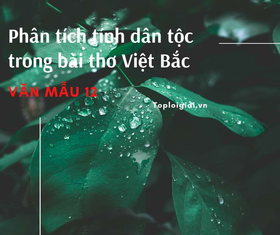 Phân tích tính dân tộc trong bài thơ Việt Bắc (ảnh 3)