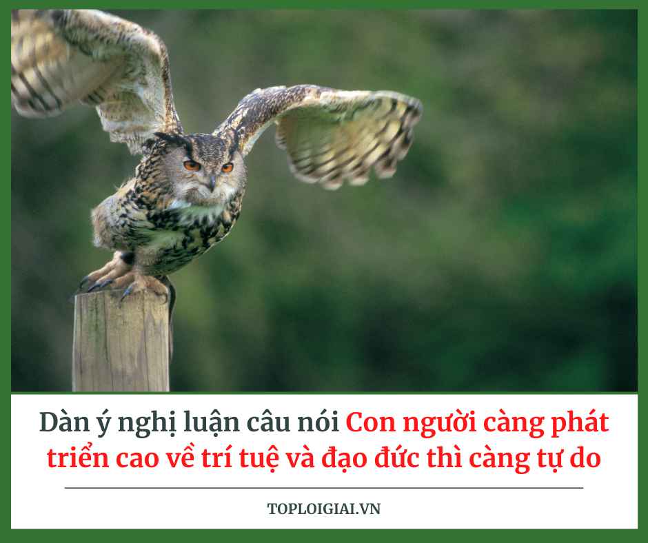 Dàn ý nghị luận: Con người càng phát triển cao về trí tuệ và đạo đức thì càng tự do (ngắn gọn, hay nhất) (ảnh 2)