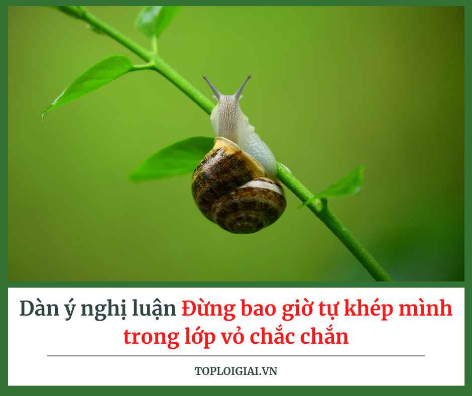 Dàn ý nghị luận Đừng bao giờ tự khép mình trong lớp vỏ chắc chắn (ngắn gọn, hay nhất)