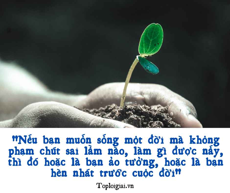 Dàn ý nghị luận Nếu bạn muốn sống một đời mà không phạm chút sai lầm nào (ngắn gọn, hay nhất) (ảnh 2)