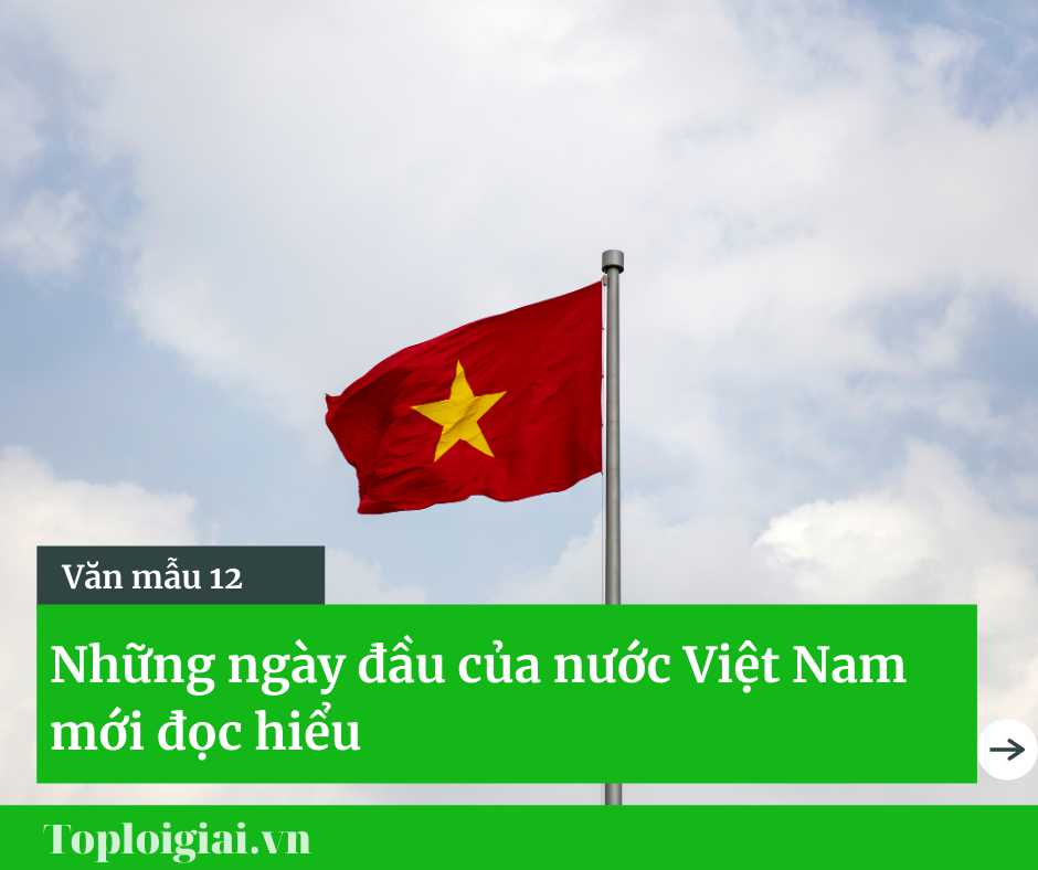 Những ngày đầu của Nước Việt Nam mới đọc hiểu ngắn gọn nhất (ảnh 2)
