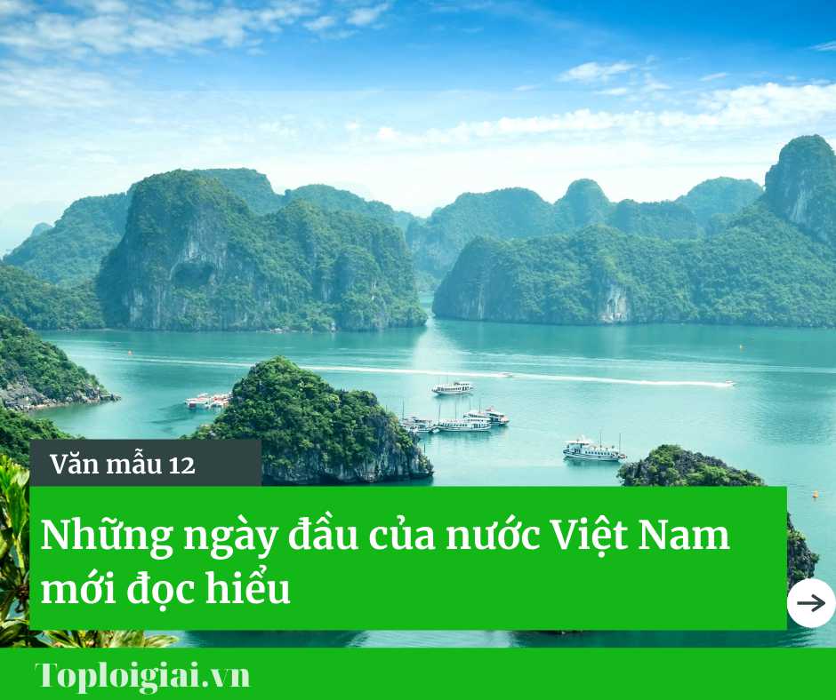 Những ngày đầu của Nước Việt Nam mới đọc hiểu ngắn gọn nhất