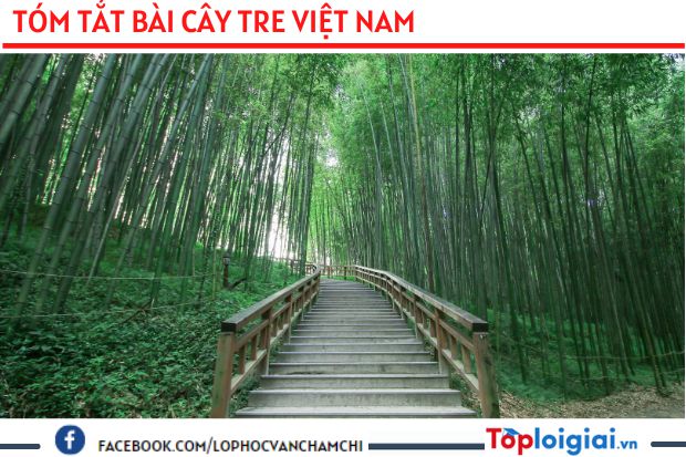 Tóm tắt bài Cây tre Việt Nam | 3 bài hay nhất