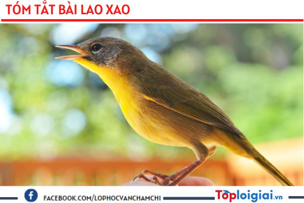 Tóm tắt bài Lao xao | 3 bài hay nhất