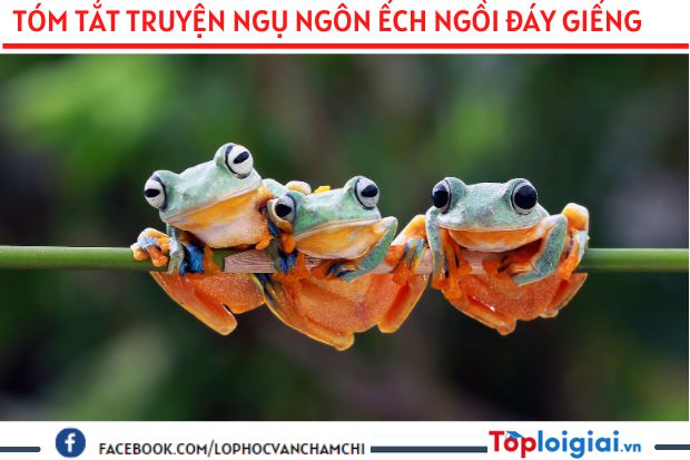 Tóm tắt truyện ngụ ngôn Ếch ngồi đáy giếng | 3 bài hay nhất
