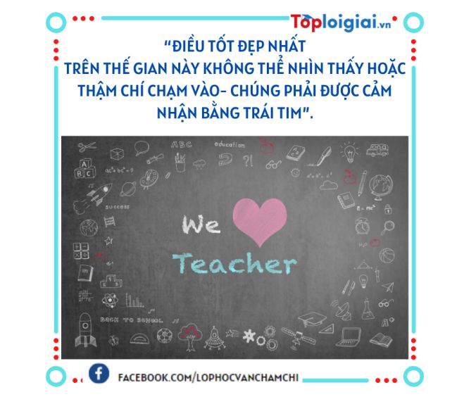 Cảm nhận về thầy cô giáo | Văn mẫu 7 hay nhất (ảnh 3)
