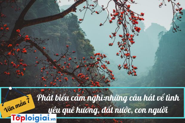 Phát biểu cảm nghĩ Những câu hát về tình yêu quê hương, đất nước, con người (ảnh 1)