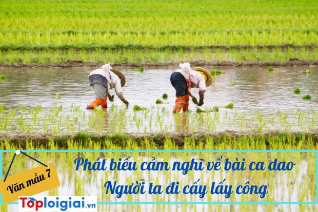 Phát biểu cảm nghĩ về bài ca dao Người ta đi cấy lấy công…(ảnh 2)