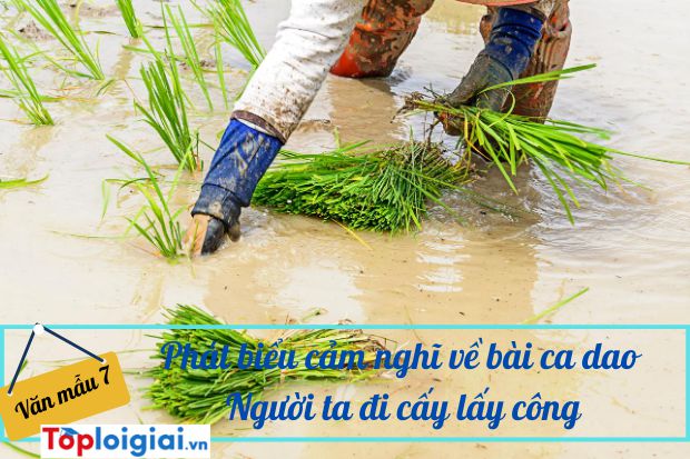 Phát biểu cảm nghĩ về bài ca dao Người ta đi cấy lấy công…(ảnh 3)