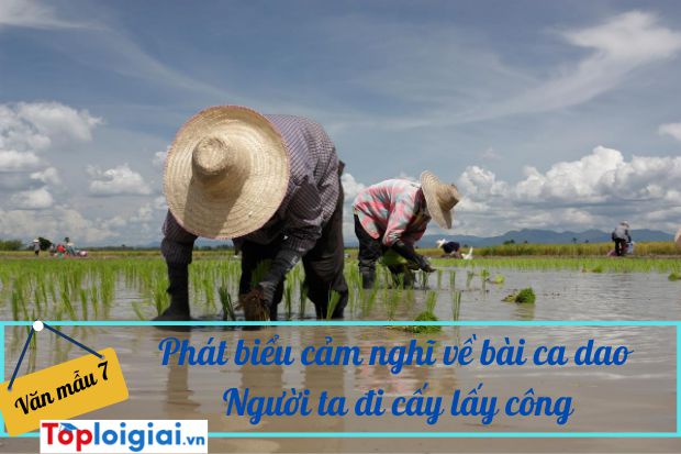 Phát biểu cảm nghĩ về bài ca dao Người ta đi cấy lấy công…(ảnh 1)
