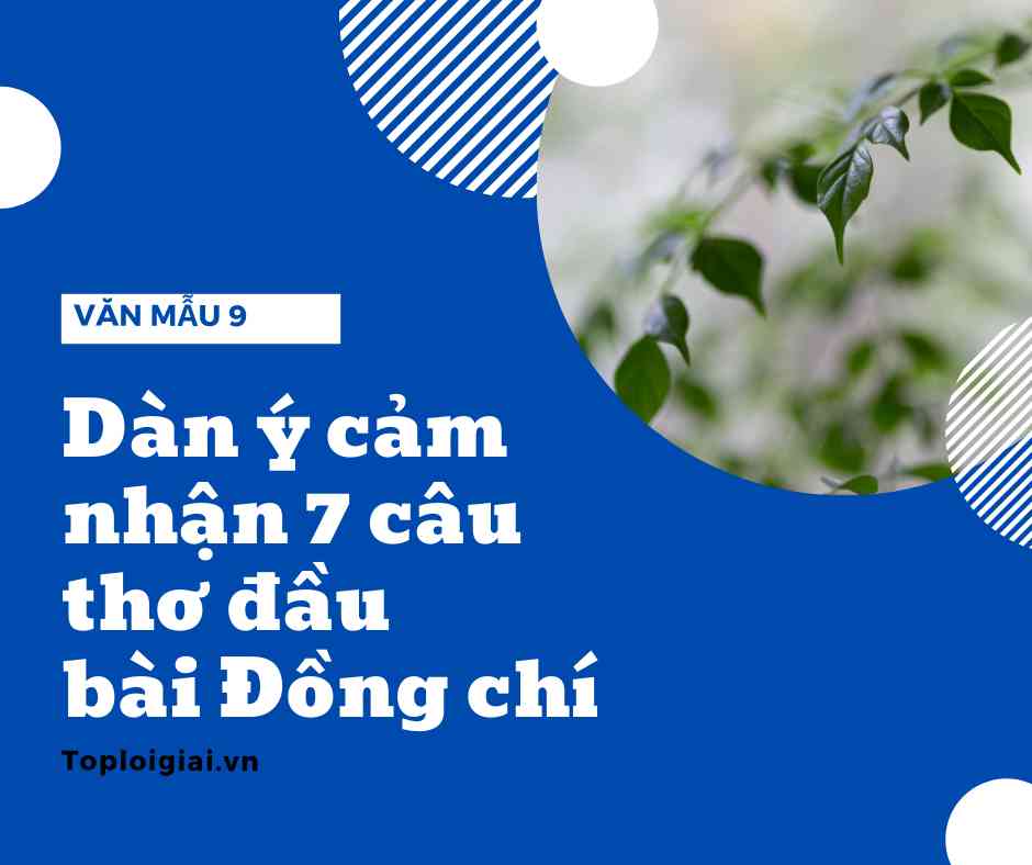 Cảm nhận về 7 câu thơ đầu bài Đồng chí ngắn gọn nhất