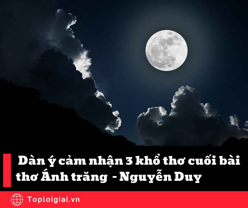 Dàn ý cảm nhận 3 khổ thơ cuối bài thơ Ánh trăng của Nguyễn Duy (ngắn gọn, hay nhất)