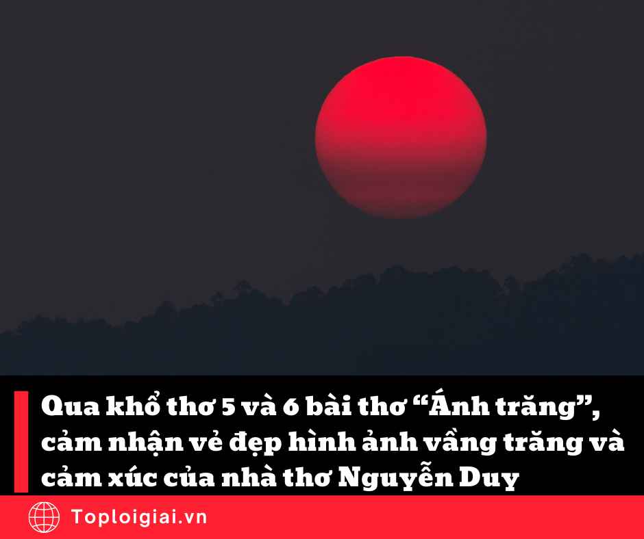 Qua khổ thơ 5 và 6 bài thơ Ánh trăng, cảm nhận vẻ đẹp hình ảnh vầng trăng và cảm xúc của nhà thơ Nguyễn Duy (ngắn gọn, hay nhất)