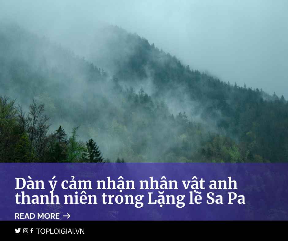 Dàn ý cảm nhận nhân vật anh thanh niên trong Lặng lẽ Sa Pa (ngắn gọn, hay nhất) (ảnh 2)