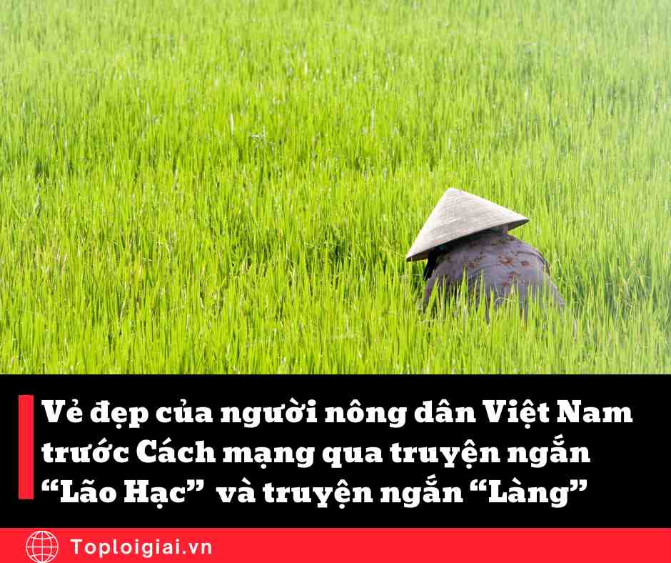 Vẻ đẹp của người nông dân Việt Nam trước Cách mạng qua truyện ngắn Lão Hạc của Nam Cao và truyện ngắn Làng của Kim Lân (ngắn gọn, hay nhất)