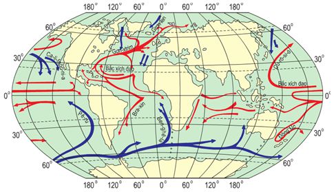 Bài 25. Thực hành: Sự chuyển động của các dòng biển trong đại dương | Giải VBT Địa Lí 6 (ảnh 1)