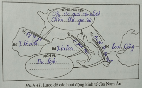Giải Bài 1 trang 123 VBT Địa Lí 7 | Giải VBT Địa Lí 7 hay nhất TopLoigiai