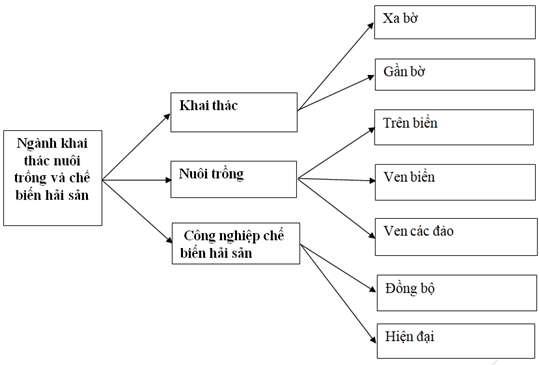 Giải VBT Địa 9: Bài 5 trang 95 VBT Địa 9 – TopLoigiai