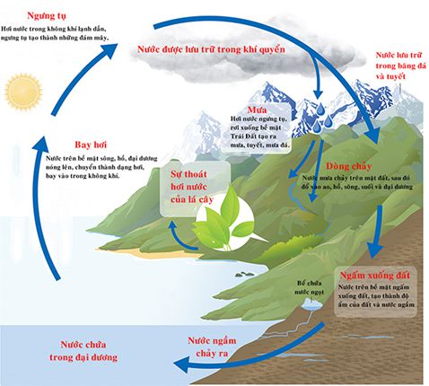 Bài 23. Sơ đồ vòng tuần hoàn của nước trong tự nhiên | Giải vở bài tập Khoa học 4 (ảnh 2)