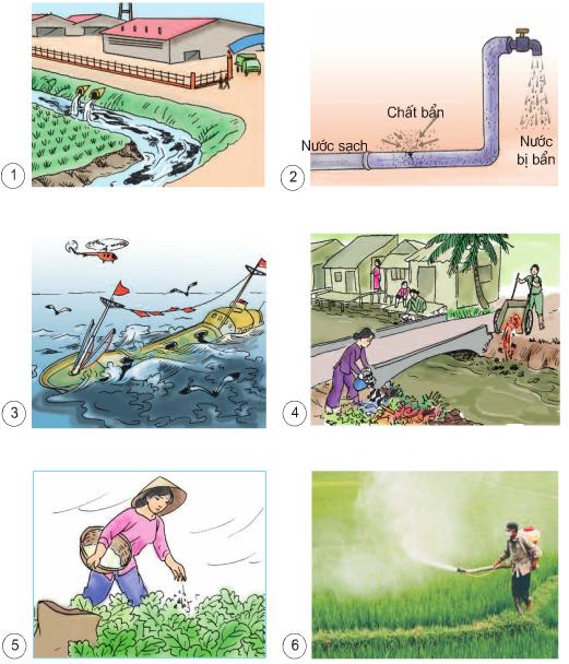 Bài 26. Nguyên nhân làm nước bị ô nhiễm | Giải vở bài tập Khoa học 4