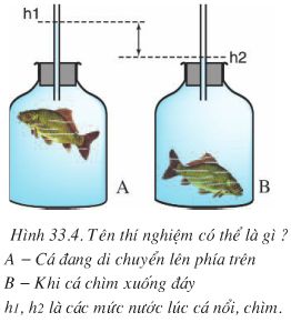 Bài 33: Cấu tạo trong của cá chép  - Giải VBT Sinh 7 hay nhất