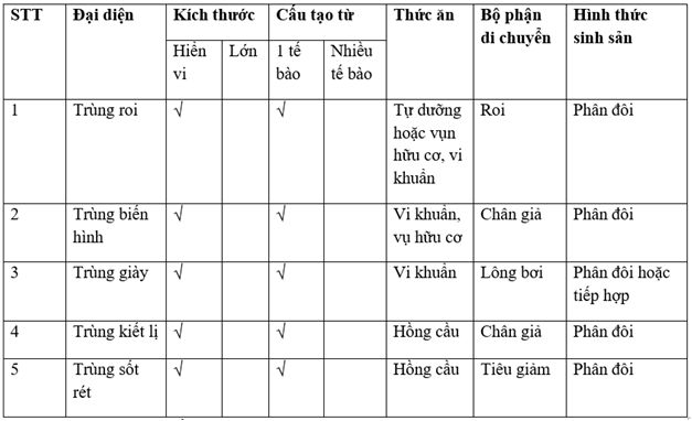 Bài 7: Đặc điểm chung và vai trò thực tiễn của động vật nguyên sinh  - Giải VBT Sinh 7 hay nhất